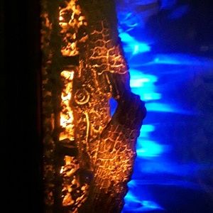 Meet your Posher, George